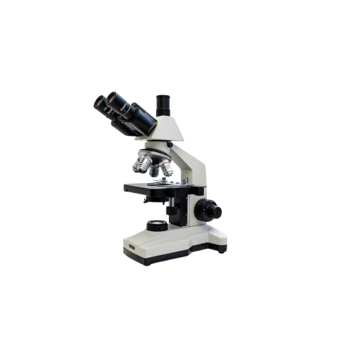 Optical Microscope